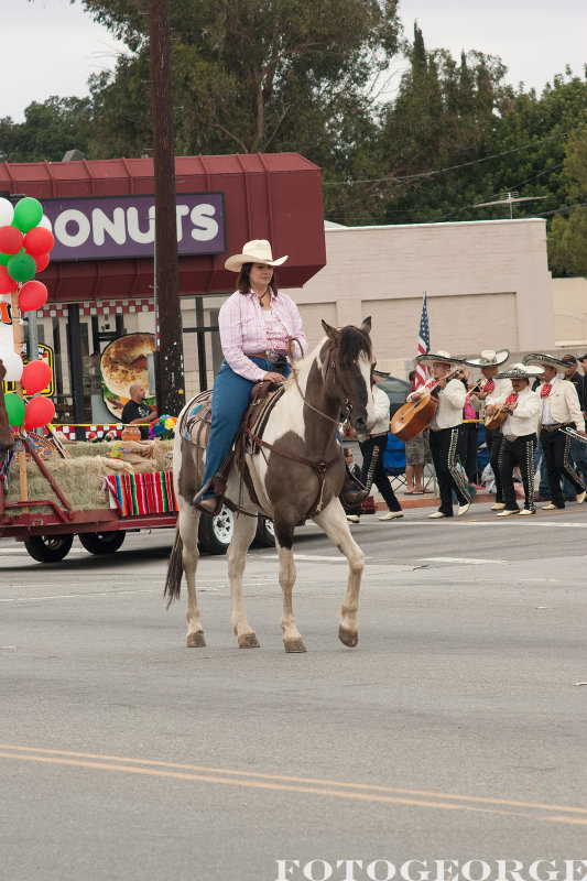 Equestrian-on-Pinto_DSC2820.jpg