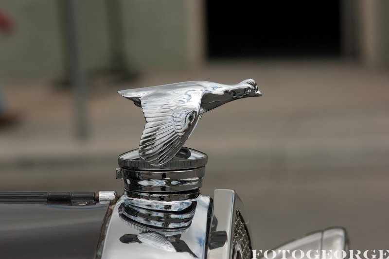 Ford-hood-ornament_DSC2799.jpg