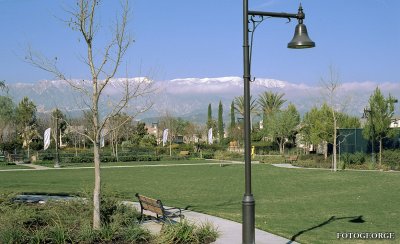 MountainView_504.jpg