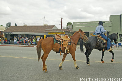 QuarterHorseChampTeamRoper_DSC2331.jpg