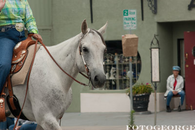 EquestriansGreenStockings_DSC2765.jpg