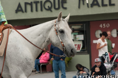 EquestriansGreenStockings_DSC2766.jpg