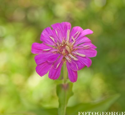 g1/71/631071/3/117369065.9TnR7Lr6.jpg