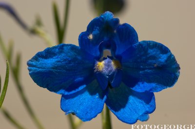 g1/71/631071/3/125588415.bHjFckkX.jpg