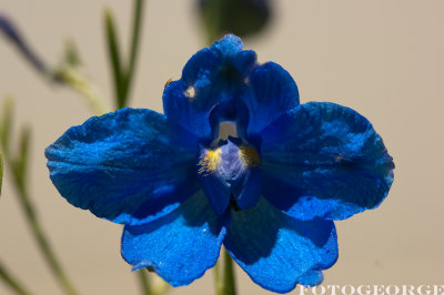g1/71/631071/3/125588418.UoyGdm5Y.jpg
