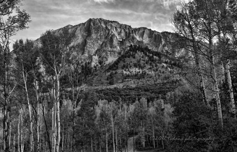 Mt Crested Butte bw.jpg