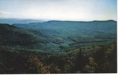 BS Cranberry Glades Postcard