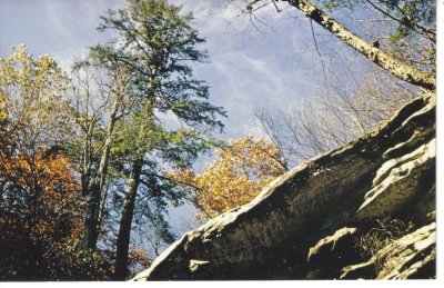 BS Hills Creek Gorge Postcard