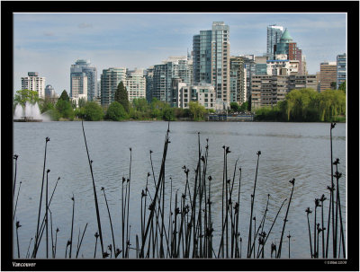 Vancouver_006.jpg