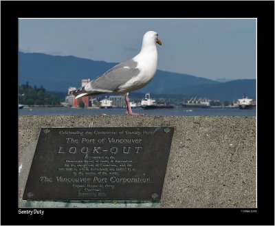 Vancouver_014.jpg
