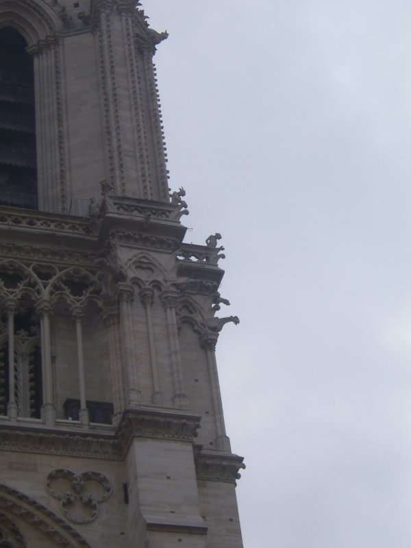 The Gargoyles of Notre Dame Paris