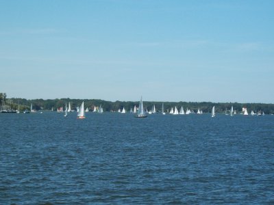 Only a small part of the numerous saliboats out for a Sunday trip on the Wannsee Berlin GER