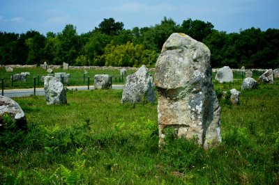  A Few of the 6,000 Carnac Stones in Brittany ..... an Amazing Sight.