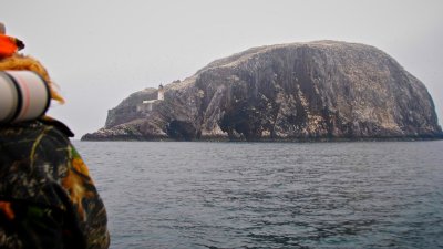 Bass Rock Firth of Forth