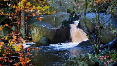 Autumn in Padley Gorge