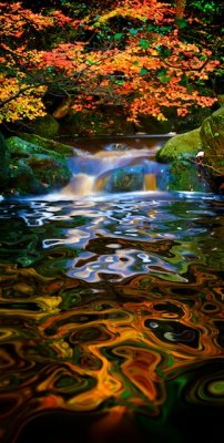 Padley Gorge