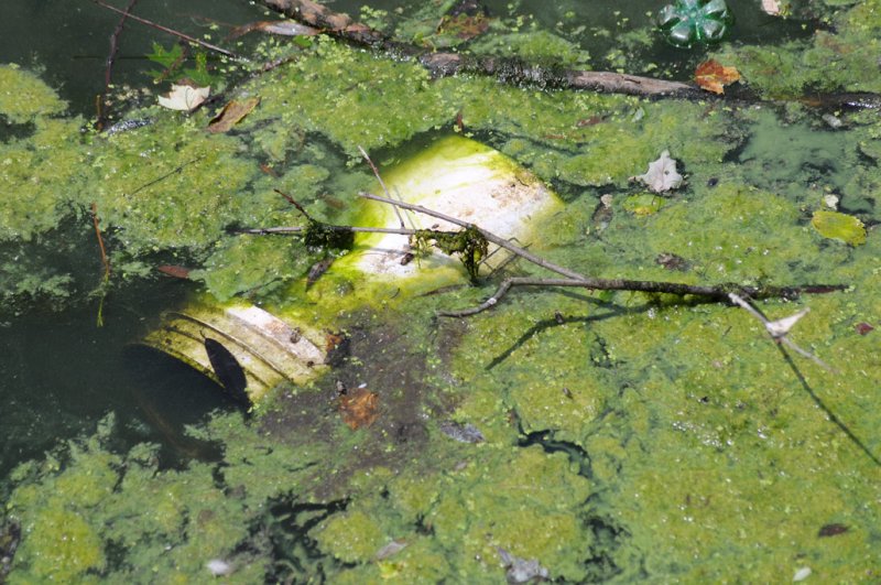 fisherman trap