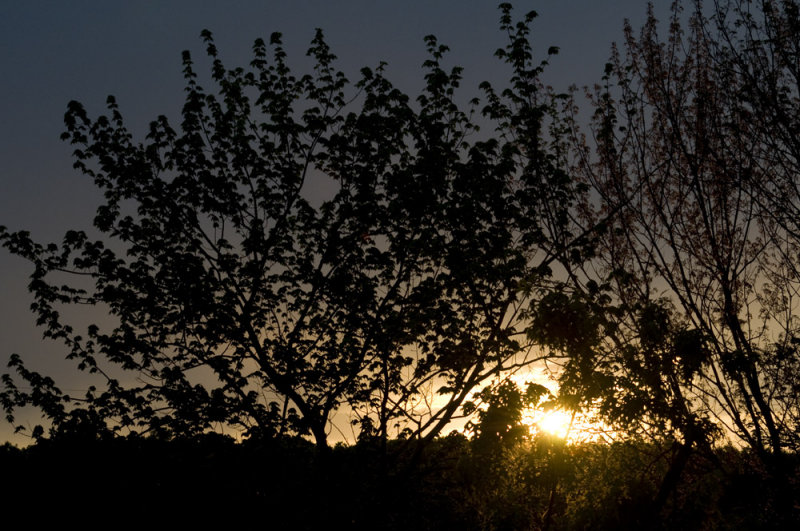 another sunset