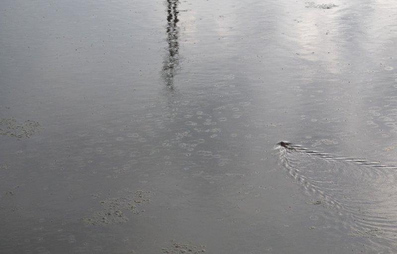 The crossing is wide