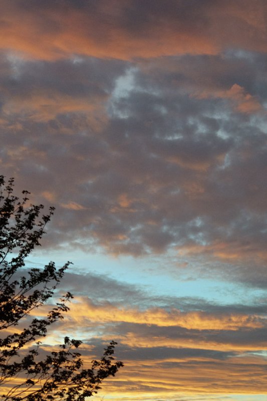 Sunset, July 4th, 2010