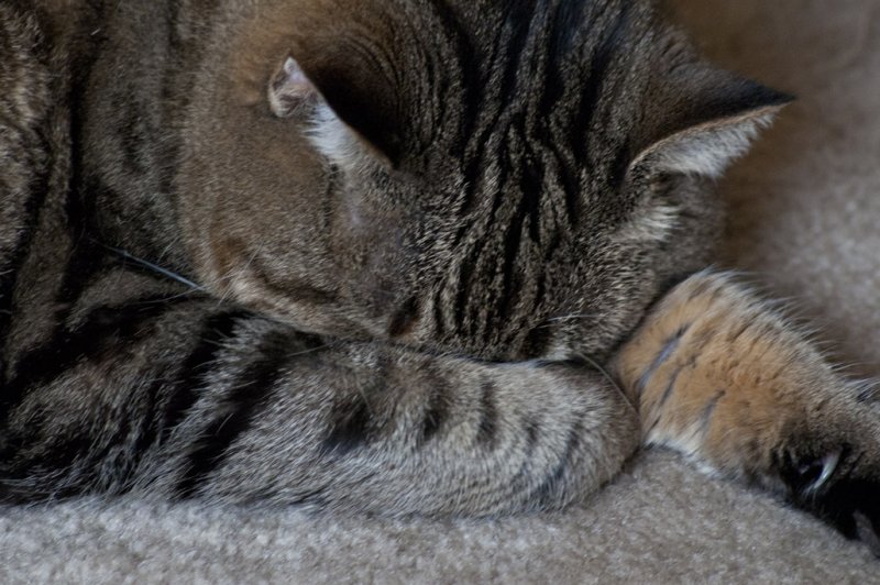 Wake me when its over.