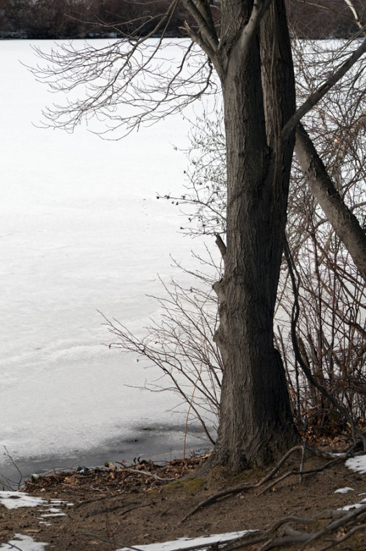 The boat ramp