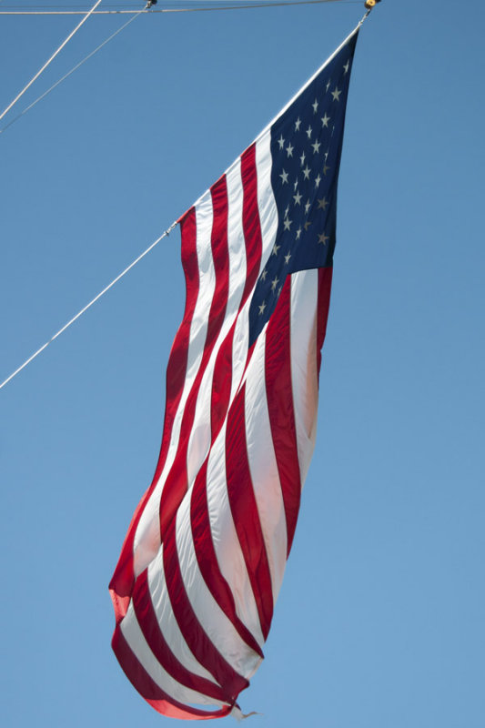 Vote