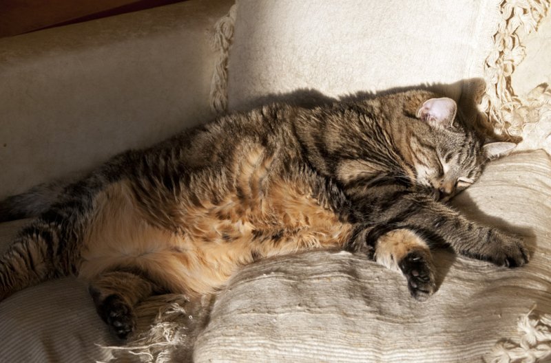 zzz....