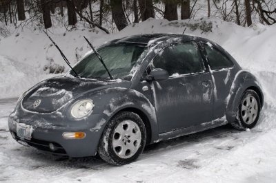 Defrosted Bug