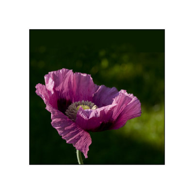g1/71/716571/3/126106562.8XpV5YE6.jpg