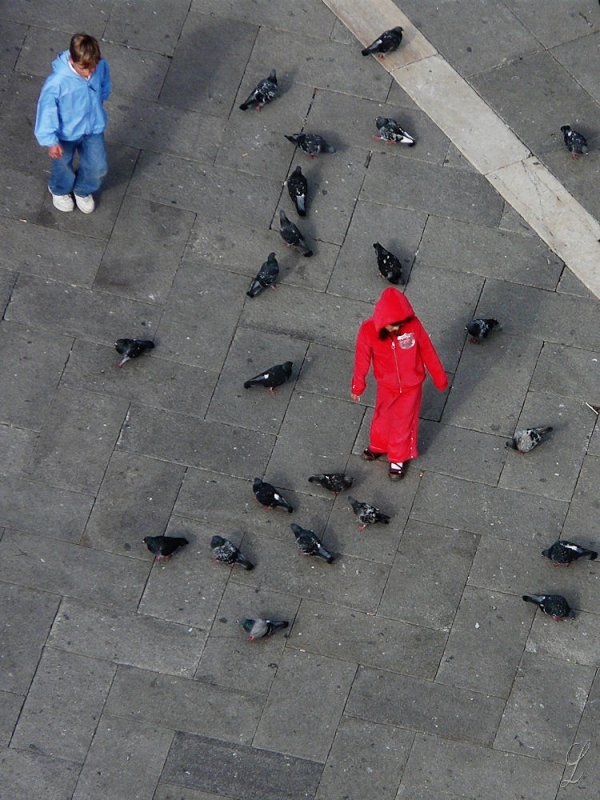 venezia-1220460-vuedenhaut.jpg