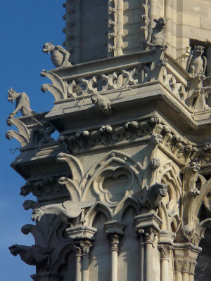 Paris 11102008-1230579-Notre-Dame details.jpg