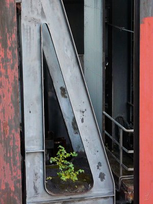 Essen-Zollverein-90293.jpg