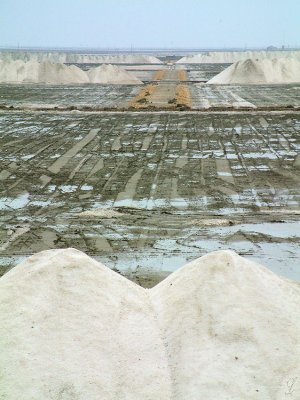 Salines du Midi-0449.jpg