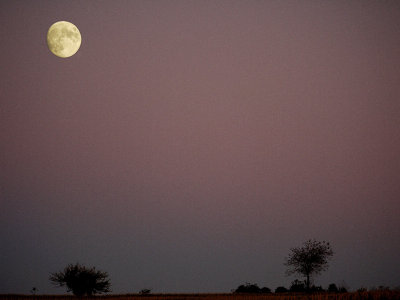 Lune du Barthas-1190137.jpg