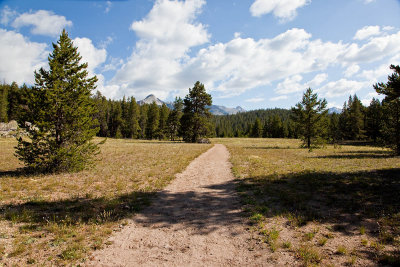 First Photo of Trail. Start.