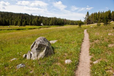 Looking back on the trail