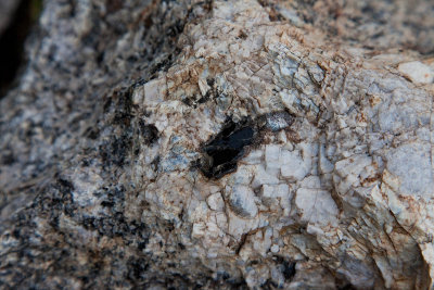 Obsidian