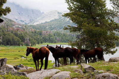 Horse Camp