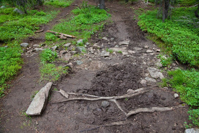 Horse damage on right
