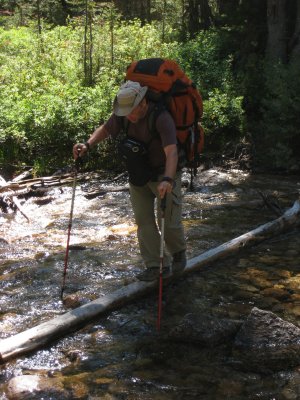 2010 Sawtooths