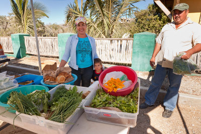 Organic Farmers in Zac