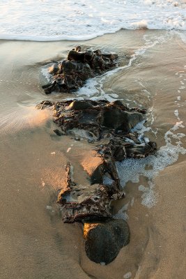101120-054703-9389.jpg