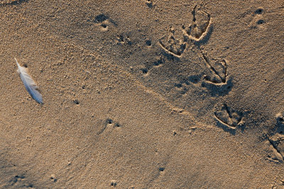 101120-061425-9424.jpg