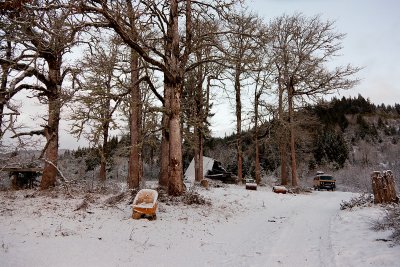 110109-081243-0904.jpg