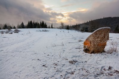 110109-081331-0907.jpg