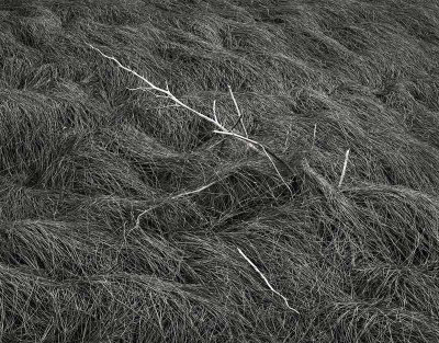 Rice Tank, Big Bend National Park, Texas   19791104