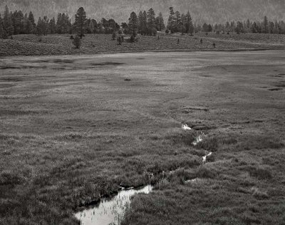 Eldorado National Forest, California   19800801