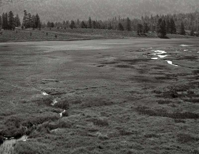 Eldorado National Forest, California   19800802