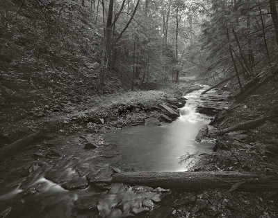 Little Fourmile Run, Pine Creek Gorge, Pennsylvania  19900703